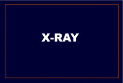 Static XRay (Neutral) – 2nd Radiology Opinion